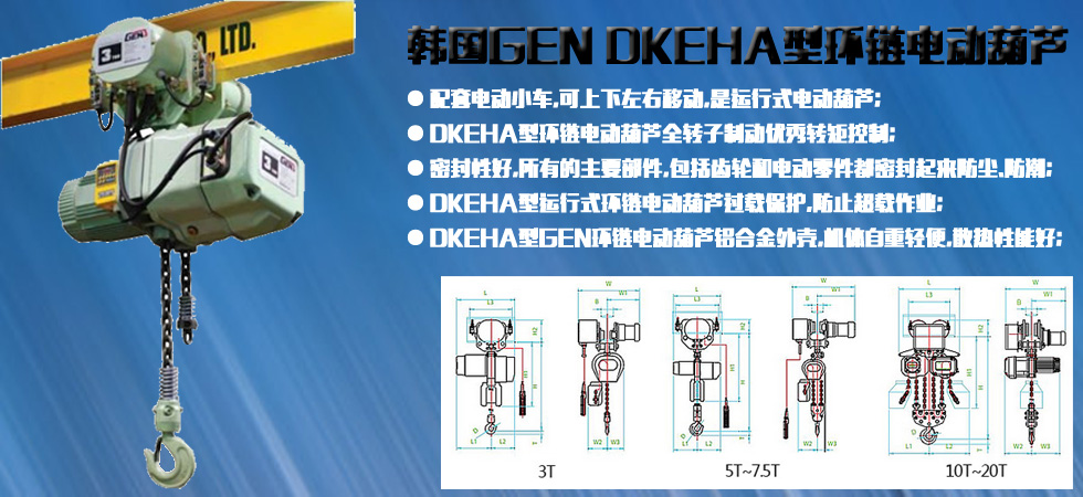 DKEHA型GEN環(huán)鏈電動(dòng)葫蘆圖