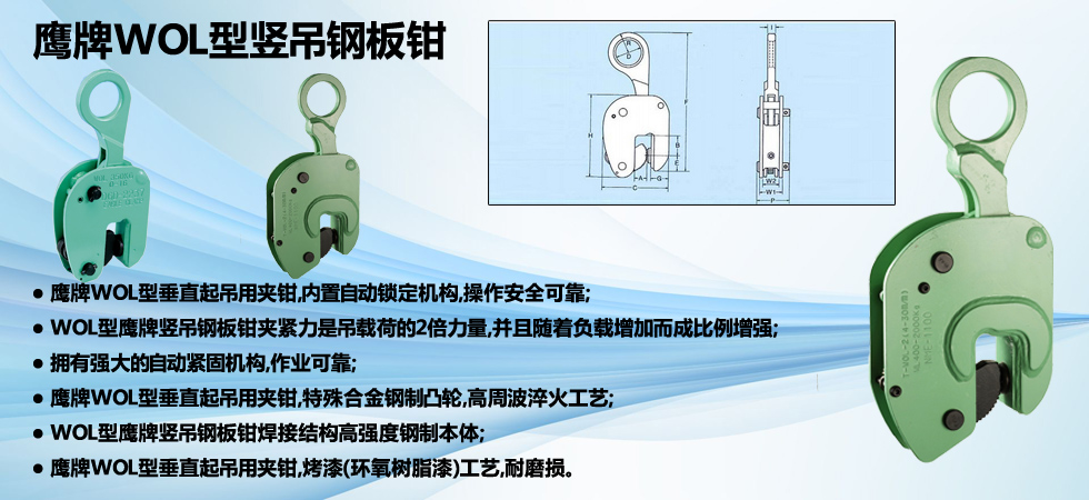 WOL型垂直起吊夾鉗圖