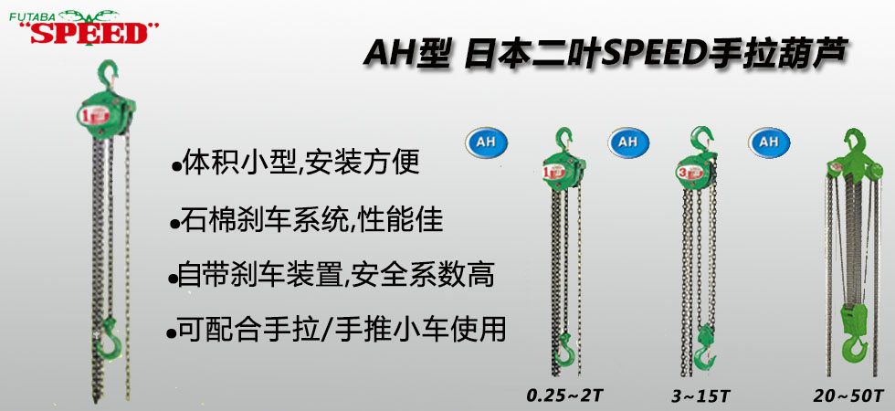 AH型二葉手拉葫蘆圖片