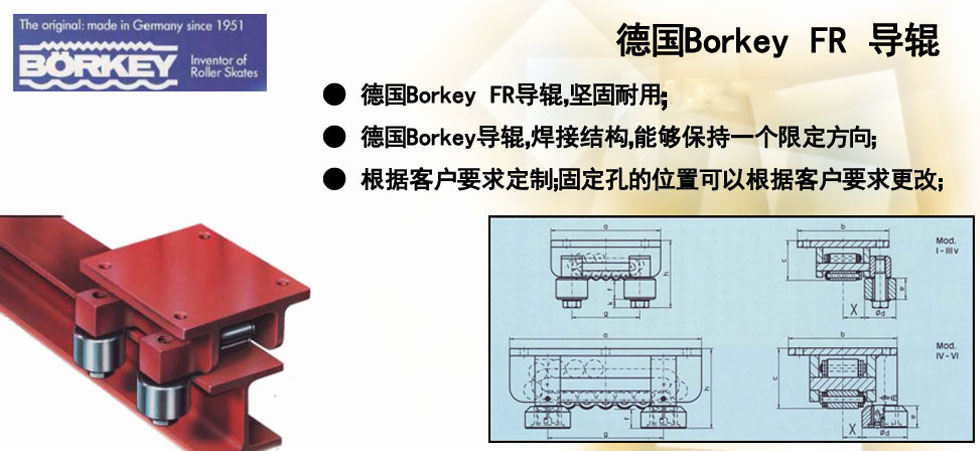 Borkey FR導(dǎo)輥