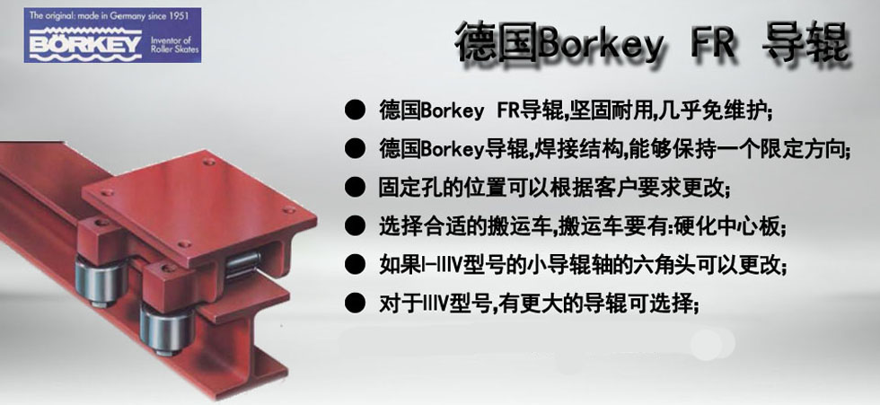 Borkey FR導(dǎo)輥